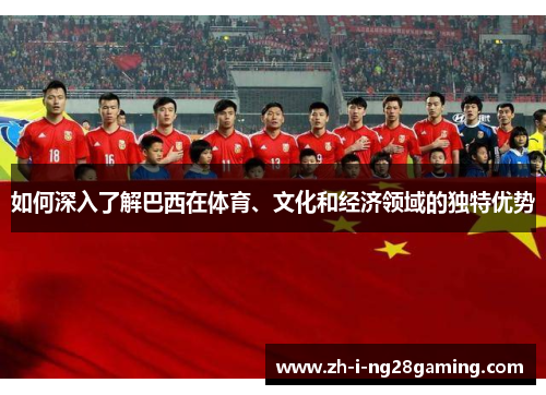 如何深入了解巴西在体育、文化和经济领域的独特优势