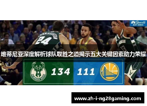 维蒂尼亚深度解析球队取胜之道揭示五大关键因素助力荣耀