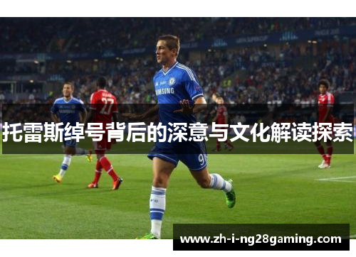 托雷斯绰号背后的深意与文化解读探索