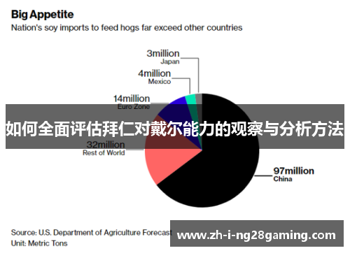 如何全面评估拜仁对戴尔能力的观察与分析方法