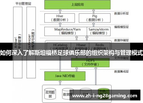 如何深入了解斯坦福桥足球俱乐部的组织架构与管理模式